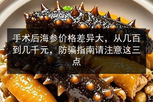 手术后海参价格差异大,从几百到几千元,防骗指南请注意这三点