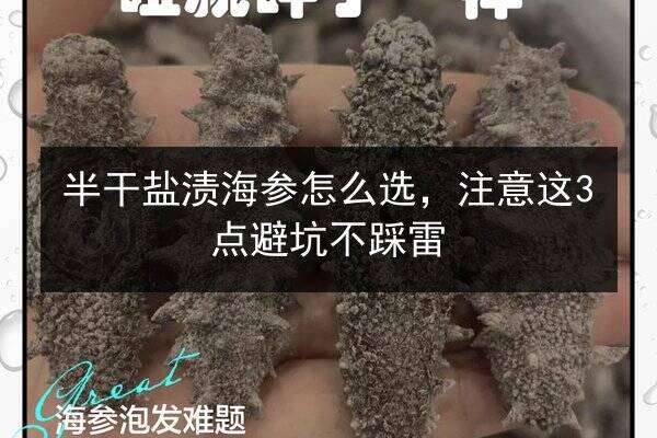 半干盐渍海参怎么选，注意这3点避坑不踩雷