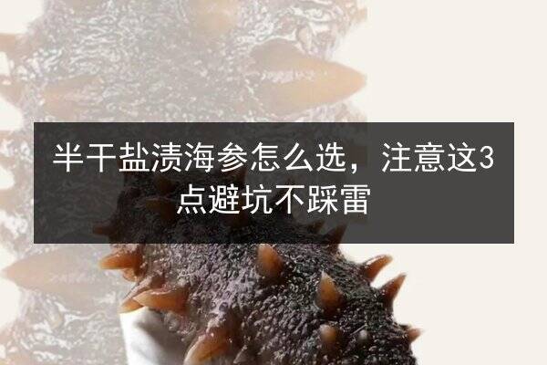 半干盐渍海参怎么选，注意这3点避坑不踩雷