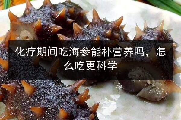 化疗期间吃海参能补营养吗,怎么吃更科学