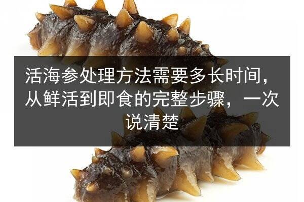 活海参处理方法需要多长时间，从鲜活到即食的完整步骤，一次说清楚