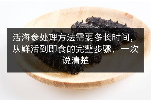 活海参处理方法需要多长时间，从鲜活到即食的完整步骤，一次说清楚