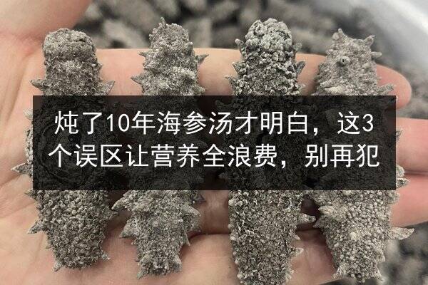 炖了10年海参汤才明白，这3个误区让营养全浪费，别再犯