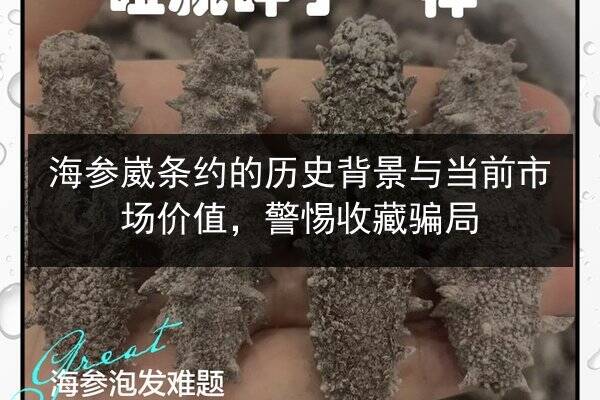 海参崴条约的历史背景与当前市场价值,警惕收藏骗局
