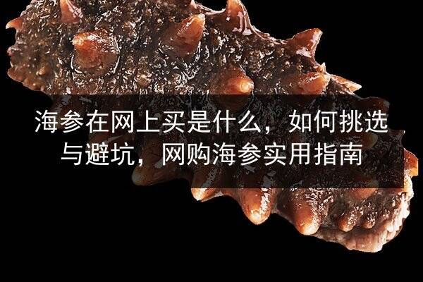海参在网上买是什么,如何挑选与避坑,网购海参实用指南