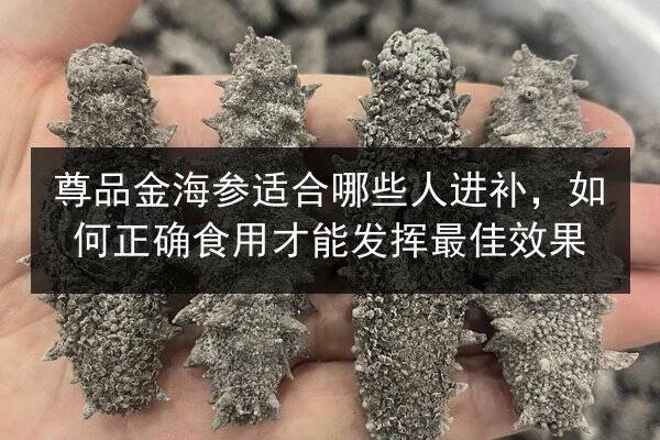 尊品金海参适合哪些人进补，如何正确食用才能发挥最佳效果