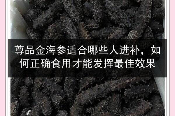 尊品金海参适合哪些人进补，如何正确食用才能发挥最佳效果