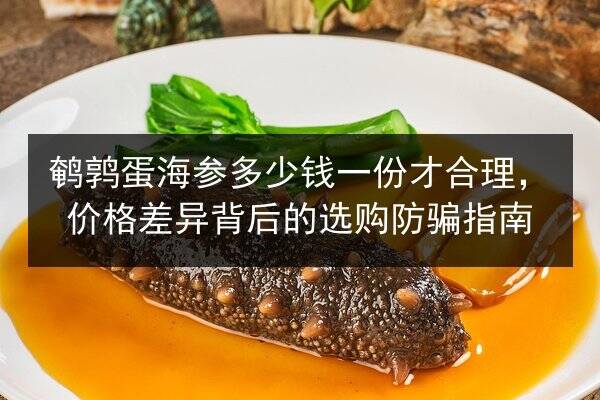 鹌鹑蛋海参多少钱一份才合理,价格差异背后的选购防骗指南