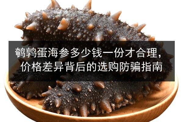 鹌鹑蛋海参多少钱一份才合理,价格差异背后的选购防骗指南