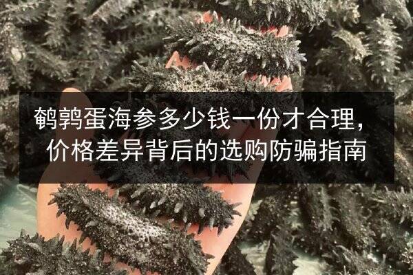 鹌鹑蛋海参多少钱一份才合理,价格差异背后的选购防骗指南