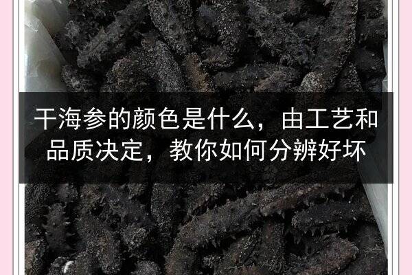 干海参的颜色是什么,由工艺和品质决定,教你如何分辨好坏
