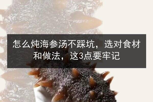 怎么炖海参汤不踩坑,选对食材和做法,这3点要牢记