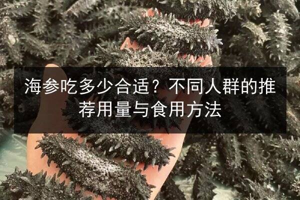 海参吃多少合适?不同人群的推荐用量与食用方法