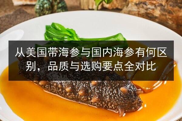 从美国带海参与国内海参有何区别,品质与选购要点全对比