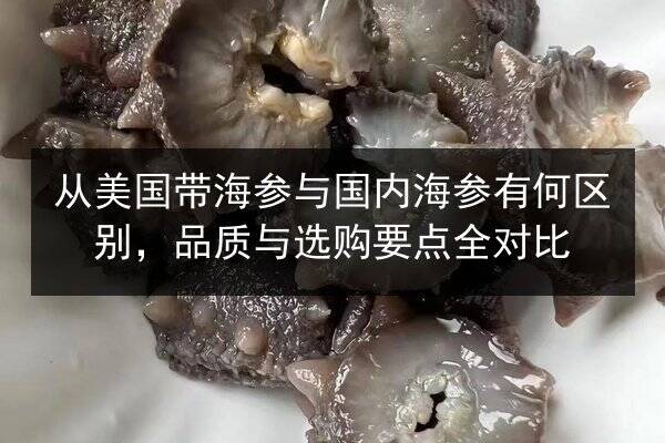 从美国带海参与国内海参有何区别,品质与选购要点全对比