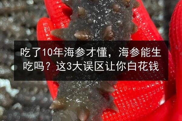 吃了10年海参才懂，海参能生吃吗？这3大误区让你白花钱