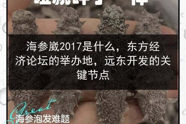 海参崴2017是什么,东方经济论坛的举办地,远东开发的关键节点