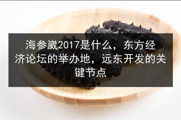 海参崴2017是什么,东方经济论坛的举办地,远东开发的关键节点