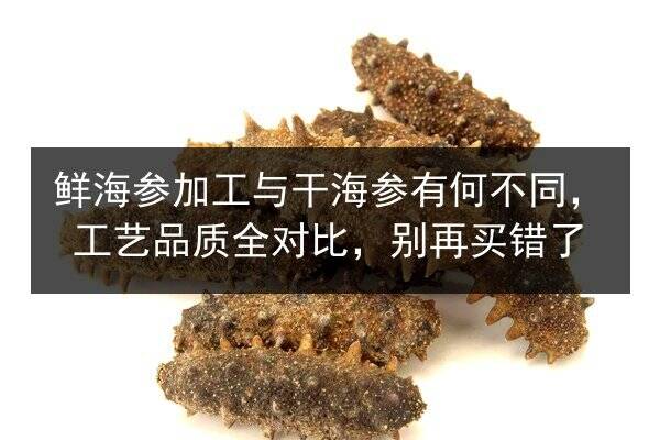 鲜海参加工与干海参有何不同,工艺品质全对比,别再买错了