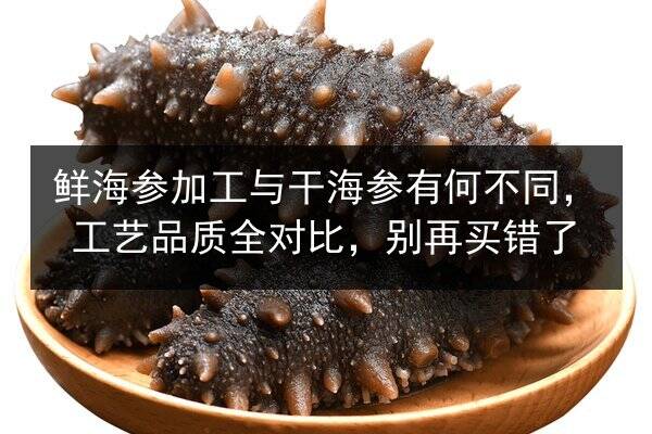 鲜海参加工与干海参有何不同,工艺品质全对比,别再买错了