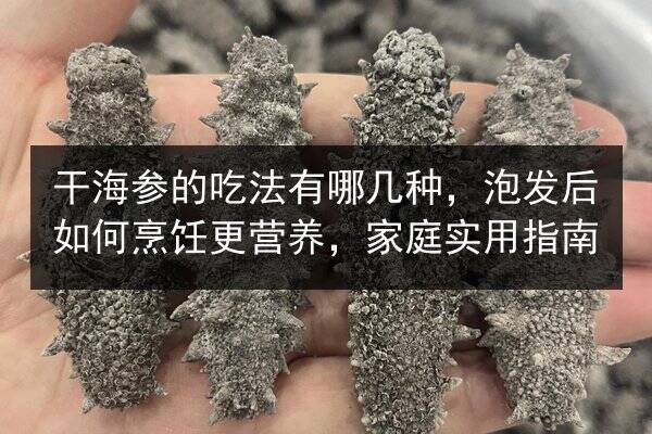 干海参的吃法有哪几种,泡发后如何烹饪更营养,家庭实用指南