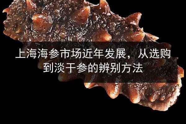 上海海参市场近年发展，从选购到淡干参的辨别方法