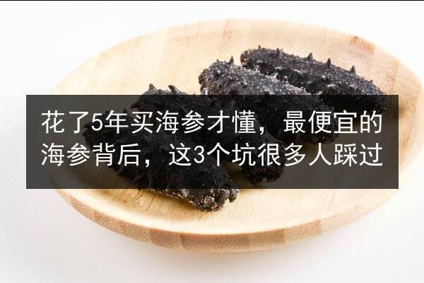 花了5年买海参才懂,最便宜的海参背后,这3个坑很多人踩过