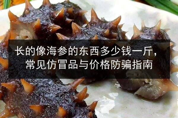 长的像海参的东西多少钱一斤，常见仿冒品与价格防骗指南