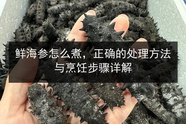 鲜海参怎么煮,正确的处理方法与烹饪步骤详解