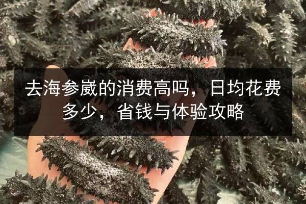 去海参崴的消费高吗,日均花费多少,省钱与体验攻略