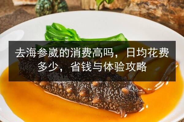 去海参崴的消费高吗,日均花费多少,省钱与体验攻略