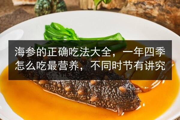 海参的正确吃法大全,一年四季怎么吃最营养,不同时节有讲究