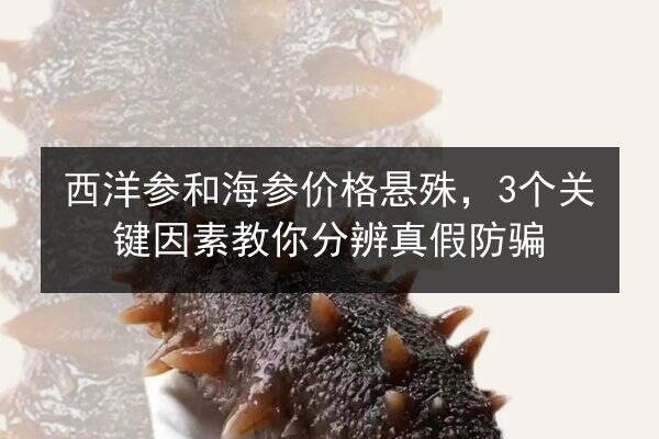 西洋参和海参价格悬殊，3个关键因素教你分辨真假防骗