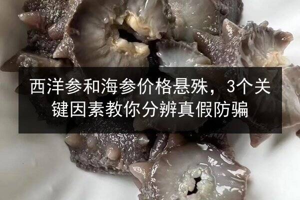 西洋参和海参价格悬殊，3个关键因素教你分辨真假防骗
