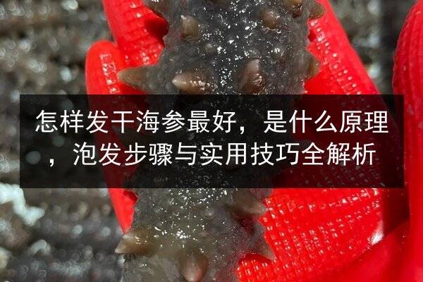 怎样发干海参最好,是什么原理,泡发步骤与实用技巧全解析