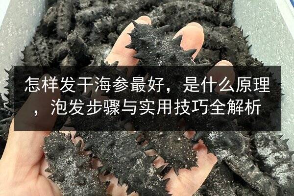 怎样发干海参最好,是什么原理,泡发步骤与实用技巧全解析