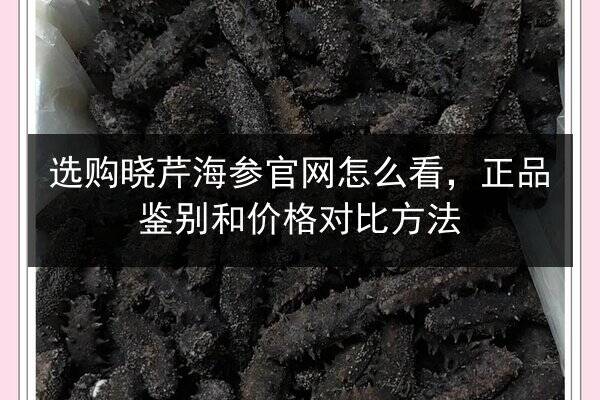 选购晓芹海参官网怎么看,正品鉴别和价格对比方法