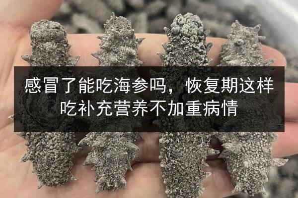 感冒了能吃海参吗,恢复期这样吃补充营养不加重病情