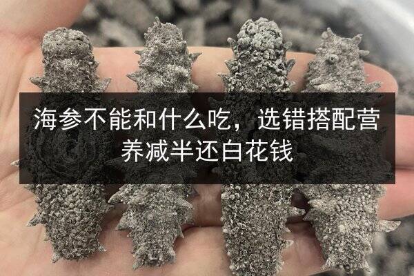 海参不能和什么吃,选错搭配营养减半还白花钱
