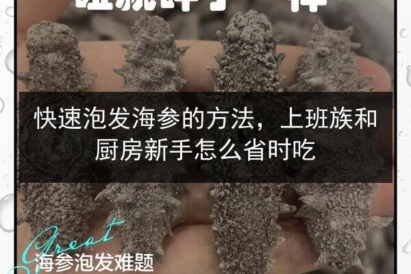 快速泡发海参的方法,上班族和厨房新手怎么省时吃