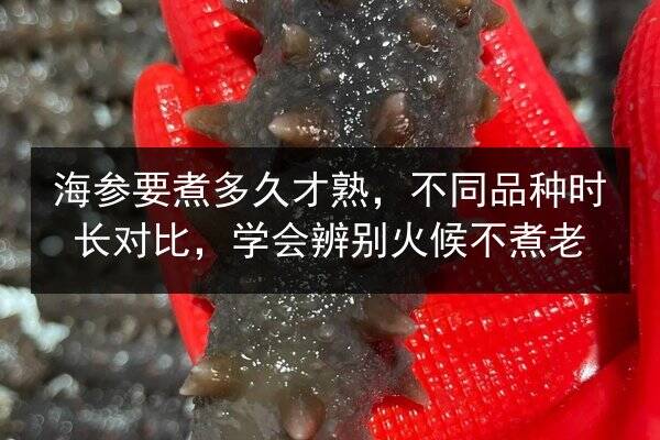 海参要煮多久才熟,不同品种时长对比,学会辨别火候不煮老