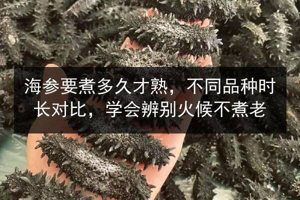 海参要煮多久才熟,不同品种时长对比,学会辨别火候不煮老