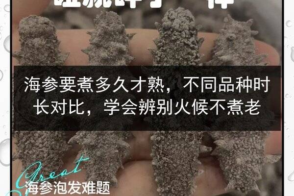 海参要煮多久才熟,不同品种时长对比,学会辨别火候不煮老
