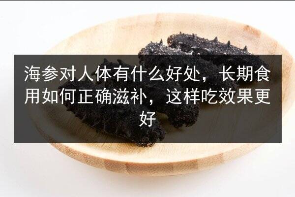 海参对人体有什么好处,长期食用如何正确滋补,这样吃效果更好