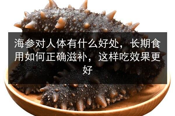海参对人体有什么好处,长期食用如何正确滋补,这样吃效果更好