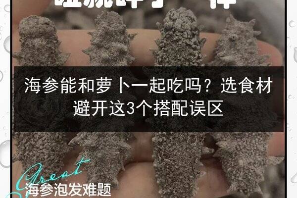 海参能和萝卜一起吃吗?选食材避开这3个搭配误区