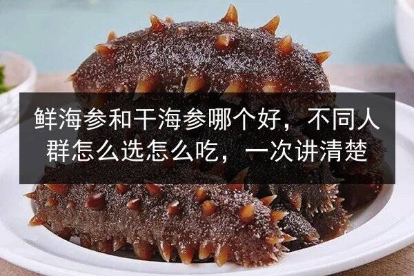 鲜海参和干海参哪个好,不同人群怎么选怎么吃,一次讲清楚
