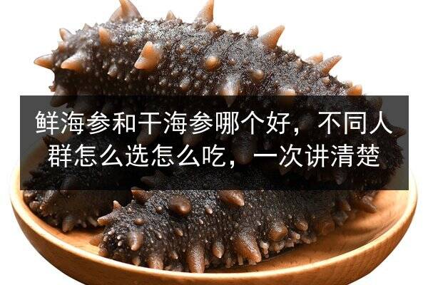 鲜海参和干海参哪个好,不同人群怎么选怎么吃,一次讲清楚