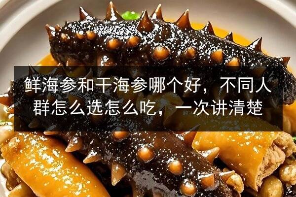 鲜海参和干海参哪个好,不同人群怎么选怎么吃,一次讲清楚