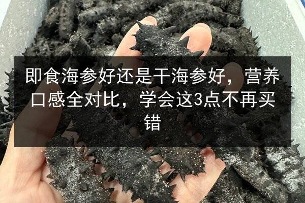 即食海参好还是干海参好,营养口感全对比,学会这3点不再买错